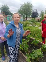 Урожаю быть!  В центре «Надежда» бурно кипит работа на грядках